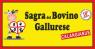La Sagra Del Bovino Gallurese A Calangianus, Edizione 2019 - Calangianus (OT)