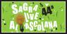La Sagra Delle Olive All'ascolana A Monteprandone, 44ima Edizione - 2019 - Monteprandone (AP)