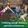 Parco Avventura Le Pigne A Ameno, Trekking Con Gli Husky, Percorsi Avventura E Sensoriali, Asinelli E Panchina Gigante - Ameno (NO)