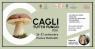 Cagli Terre Del Fungo, Cagli Tutto Fungo 2026 - Cagli (PU)