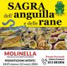 Sagra Dell’anguilla E Delle Rane Di Molinella, Sagra Del Pesce Di Molinella - Argenta (FE)