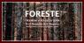 Festival Delle Foreste, 6a Edizione - 2023 - Bergamo (BG)