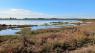  Camminata Dell’ecobenessere Alla Laguna Del Mort, Escursione A Piedi - Eraclea (VE)