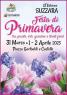 Festa Di Primavera A Suzzara, 13ima Edizione - 2023 - Suzzara (MN)