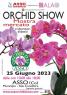  Mostra Mercato Dell'orchidea A Asso, 2^ Edizione Asso Orchid Show - Asso (CO)