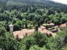 La Mistica Vallombrosa e la Foresta dei Monaci, Una Full Immersion Alla Scoperta Dei Luoghi Più Affascinanti Della Riserva Biogenetica Di Vallombrosa - Firenze (FI)