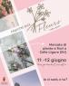Il Mercato Di Piante E Fiori Marché Aux Fleurs,  A Celle Ligure  - 3^ Edizione - Celle Ligure (SV)