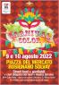 Carnival Color A Rosignano Solvay, Agosto 2022 - Rosignano Marittimo (LI)