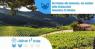Le Terre Di Pomino E La Consuma, Dal Cuore Del Chianti Rufina Al Passo Della Consuma - Rufina (FI)