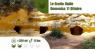 Grotte Gialle Linaglia E Parmigiani Casale Marittimo — Sagra a di sepoltura, PI