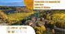 Fonterutoli e la Leggenda del Gallo Nero , Bellissimo Trekking Storico-naturalistico Alla Scoperta Del Territorio Del Chianti Di Fonterutoli, Nel Cuore Del Gallo Nero - Castellina In Chianti (SI)