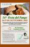 La Festa Del Fungo A Fossò, 14ima Edizione - 2025 - Fossò (VE)