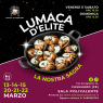Lumaca D'elite, Lumaca - Finale Emilia (MO)