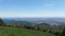 Passeggiata Tra I Prati Fioriti Del Monte Cesen, Escursione Guidata - Valdobbiadene (TV)