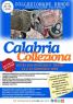 Calabria Colleziona 2026, Il Fascino Senza Tempo Della Storia, Il Valore Della Memoria E La Passione Per Il Dettaglio Tornano Protagonisti Al Sud Italia. - Cosenza (CS)