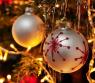 Natale a Frosinone, Mercatini Natalizi E Festa Dell'albero - Frosinone (FR)
