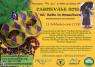 Carnevale ad Aiello del Sabato, 25° Ballo In Maschera - Edizione 2018 - Aiello Del Sabato (AV)