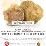 Fiera Nazionale del Tartufo Bianco Pregiato, Domeniche Di Ottobre Con I Tartufi A Sant'agata Feltria  - Sant'agata Feltria (RN)