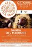 Sagra Del Marrone a Palazzuolo Sul Senio, E Dei Frutti Del Sottobosco 2023 - Palazzuolo Sul Senio (FI)