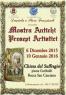 Mostra dei Presepi Artistici, a Rocca San Casciano - Rocca San Casciano (FC)