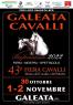 Galeata Cavalli, 43^ Fiera Mostra Del Cavallo E Del Puledro - Galeata (FC)