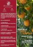 Festa dell'Arancia Belladonna , Edizione 2023 - Reggio Calabria (RC)