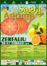 Sagra degli Agrumi, Edizione 2019 - Zerfaliu (OR)