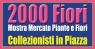 2000 Fiori a Scarperia, A Pasquetta Mostra Mercato Di Piante E Fiori - Scarperia e San Piero (FI)