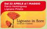 Lignano in Fiore, Festa Di Primavera Con La Fiera-mercato Le Mani Del Fare - Lignano Sabbiadoro (UD)