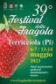 Festival Della Fragola Di Terricciola, 39ima Edizione - Anno 2023 - Terricciola (PI)
