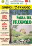 Sagra Del Prugnolo, Torna La Sagra Del Fungo Di Cusercoli - Civitella Di Romagna (FC)