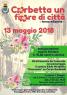 Corbetta un Fiore di Città, 3^ Edizione - 2018 - Corbetta (MI)