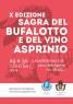 Sagra Del Bufalotto, 10^ Edizione- 2017 - Casapesenna (CE)