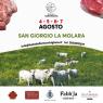 Festa della Marchigiana dell'Alto Sannio, Edizione 2018 - San Giorgio La Molara (BN)