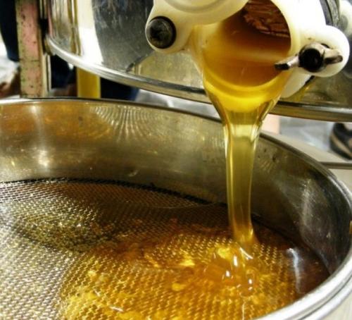 Festa Della Smielatura - Camugnano