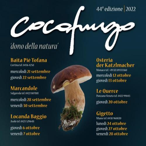 Cocofungo - 