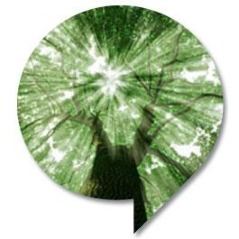 Mediterraneo E Dintorni - Portici