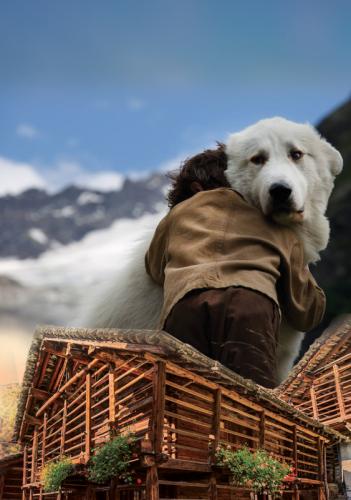 Baita Dei Bimbi: Incontro Con Il Cane  - Alagna Valsesia
