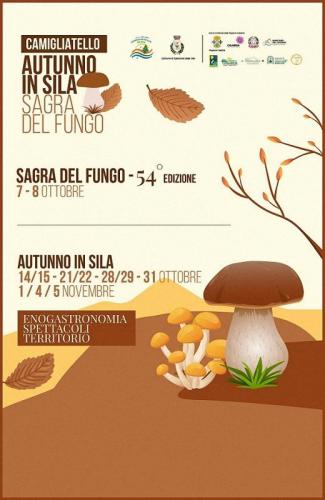 Autunno Silano - Spezzano Della Sila