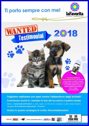 A Mantova Campagna Social Contro L’abbandono Degli Animali - Mantova