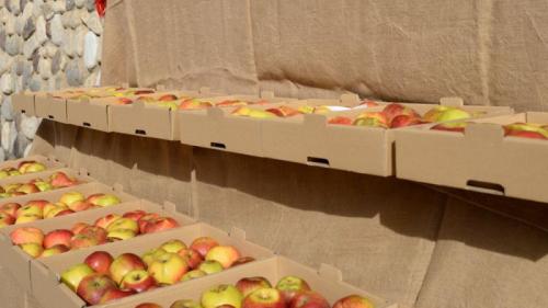 Festa Della Mela Prussiana - Sovramonte