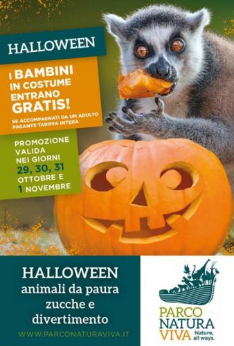 Halloween Al Parco - Bussolengo