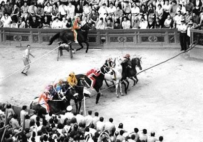 Palio Di Siena - Siena