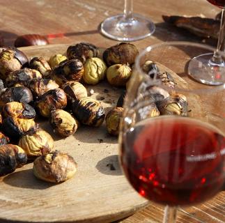 Sagra Di San Martino - Castelnovo Di Sotto