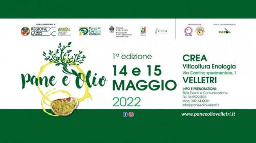 Pane E Olio A Velletri - Velletri