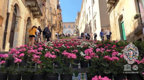La Scala Infiorata Di  Caltagirone - Caltagirone