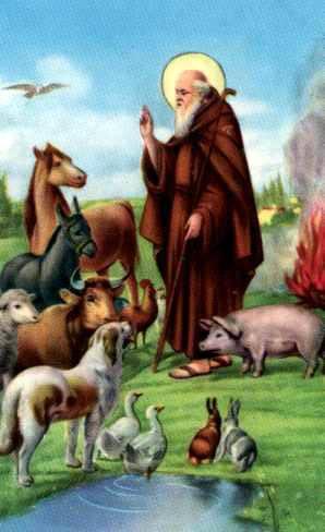 Festa Di S. Antonio Abate - Zocca