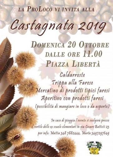 Castagne E Vino A Fara Novarese - Fara Novarese