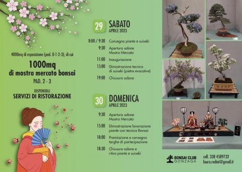 Mondo Bonsai - Gonzaga