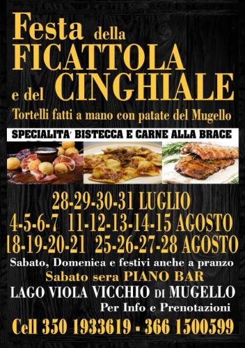 Festa Della Ficattola E Cinghiale A Vicchio - Vicchio